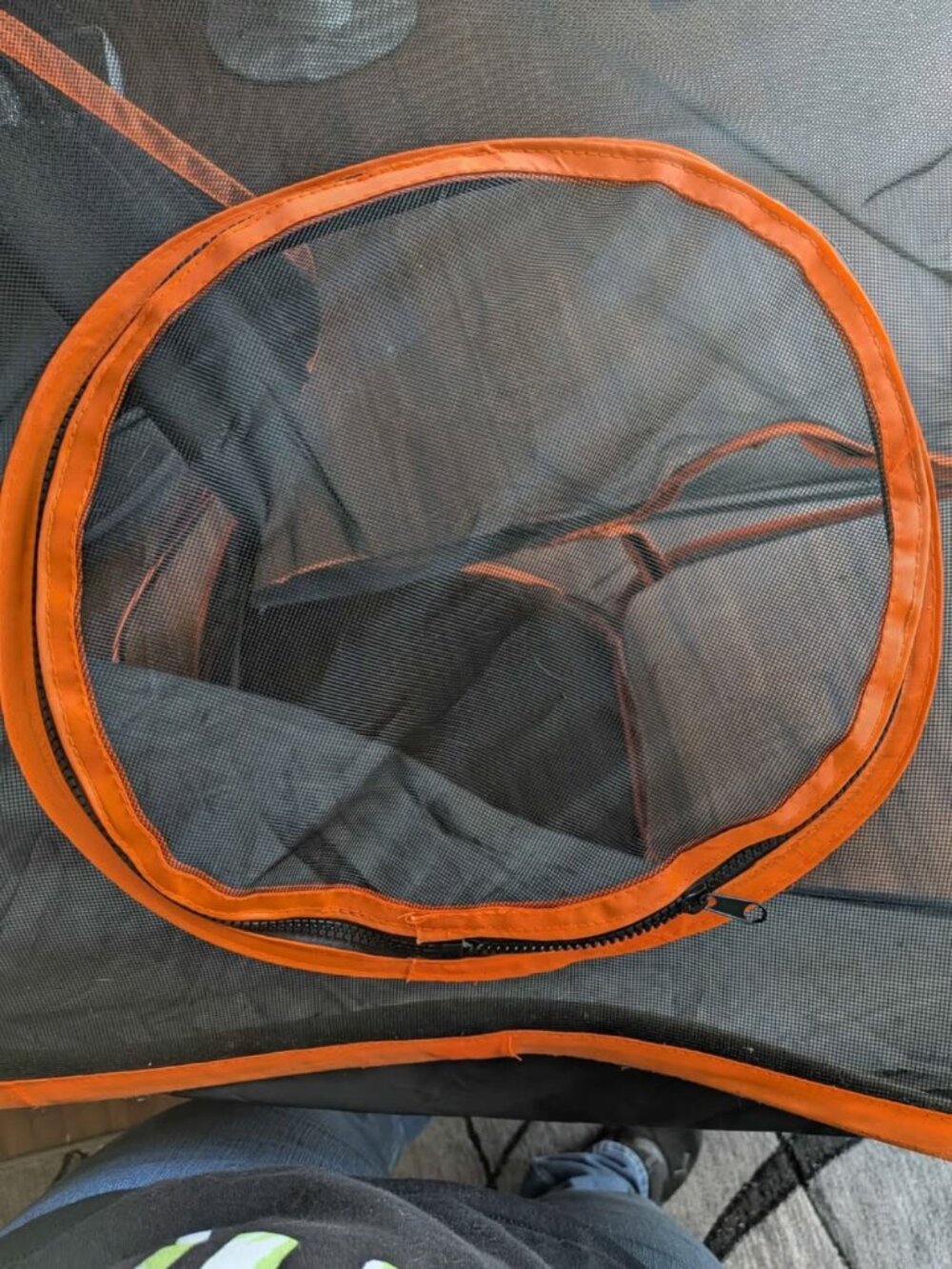 Catio - Picture 8 of 8